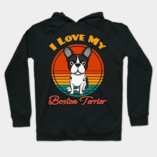 I Love My Boston Terrier Dog puppy Lover Cute Sunser Retro Funny Hoodie